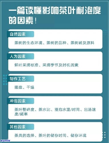 普洱茶耐泡度形容词