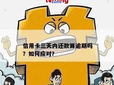 信用卡逾期半年后还款，信用额度为何仍能使用？原因解析及相关建议