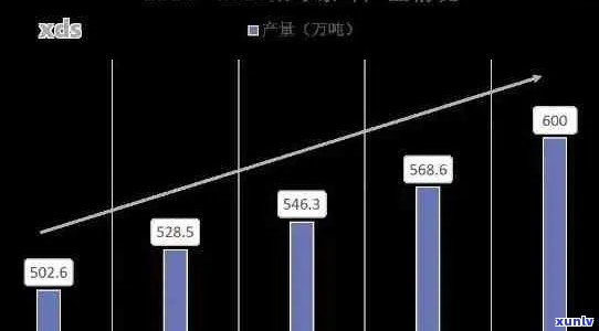 普洱茶行业的未来趋势：科技创新与消费者体验的新方向