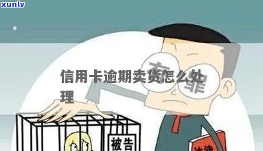 信用卡逾期可以经营吗