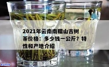 南糯山普洱茶市场价格分析：一款名贵的云南茶叶详细介绍