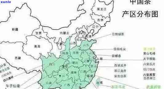 普洱茶的原产地及其在中国的省份分布：一个全面的指南