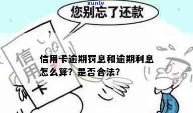 信用卡逾期罚息逾期利息的计算与合法性：相同吗？