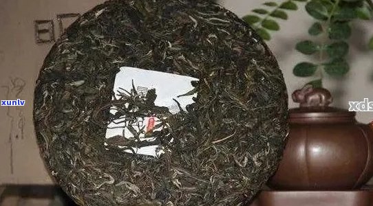 十年普洱茶饼：品鉴、收藏、 *** 与功效的全方位解析