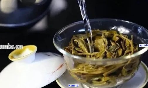 十年普洱茶怎么泡？掌握这六大步骤，让茶叶口感更佳！