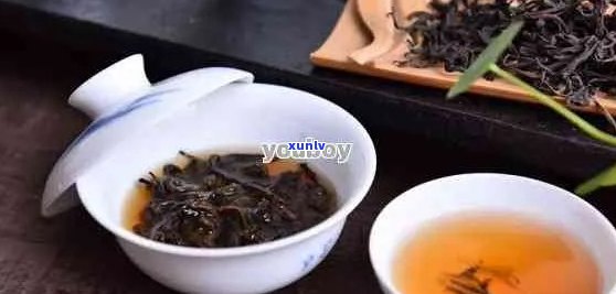 十年普洱茶怎么泡？掌握这六大步骤，让茶叶口感更佳！