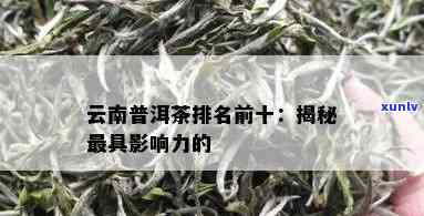 云南普洱茶十大排行榜全新发布，一网打尽优质茶叶及详细排名解析