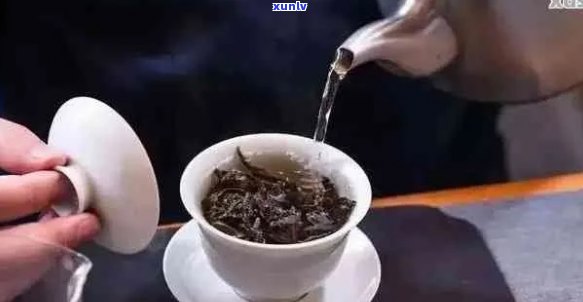 普洱茶的冲泡时间：技巧与注意事项