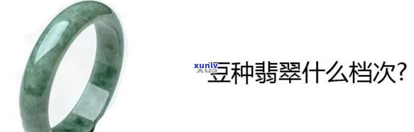 从种子到翡翠：豆种培育过程与技巧全面解析