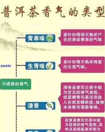 老普洱茶的香气之谜：如何分辨香味是否诱人？