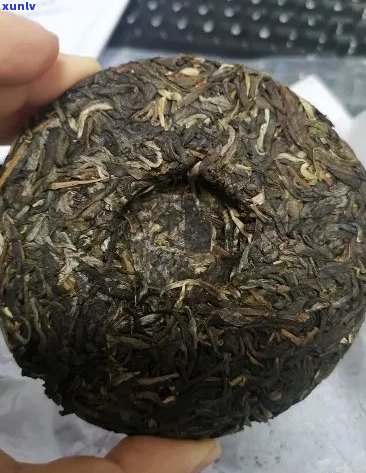 普洱茶20元一饼真的吗？