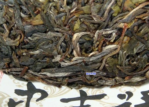 波普洱茶批发零售