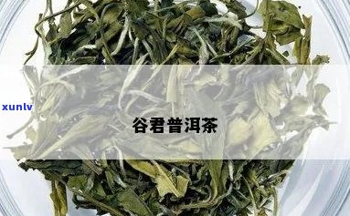 谷的普洱茶怎么样