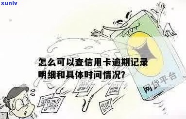 怎么查看自己的信用卡逾期记录明细和时间？