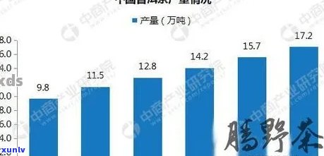 潮汕地区普洱茶消费情况及其对人体健的影响探讨