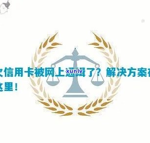 欠信用卡80万被网上通缉了怎么办？