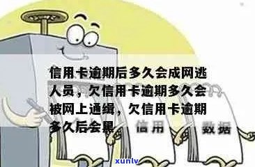 寻找信用卡逾期律师咨询及相关法律服务： *** 、费用和效果全面解析