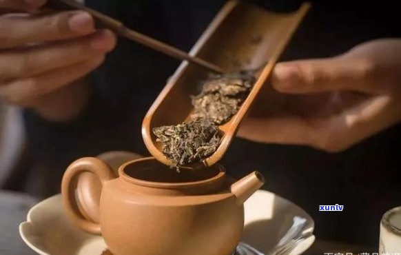 泡普洱茶的技巧：使用茶滤还是直接倒入杯子？为什么选择茶滤？