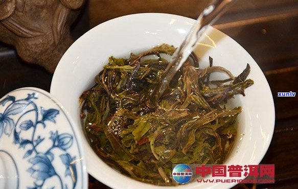 探究普洱茶耐泡程度的关键因素及其对茶叶品质的影响