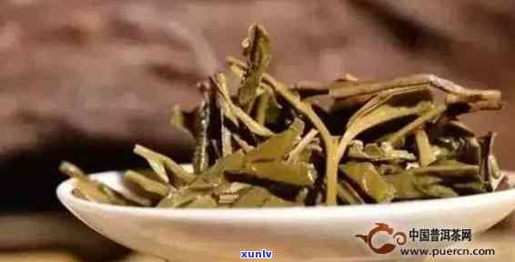 探究普洱茶耐泡程度的关键因素及其对茶叶品质的影响