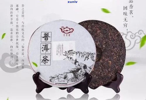 沁香普洱茶饼价格、档次、沁溢与心意：全方位解析高品质沁香普洱茶