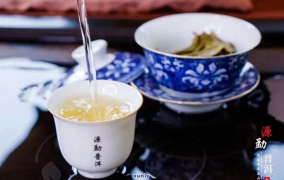 沁溢牌纯正勐海普洱茶：古树茶韵，醇厚口感的极致享受