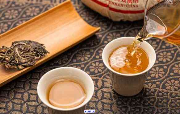 沁溢牌纯正勐海普洱茶：古树茶韵，醇厚口感的极致享受