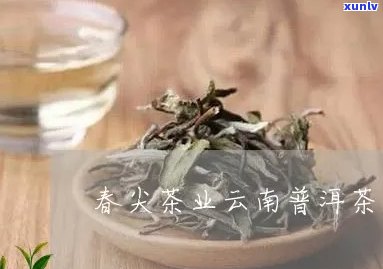 普洱茶沁春尖多少钱