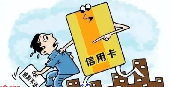 全面解析：民典法下信用卡逾期相关问题，如何妥善处理？