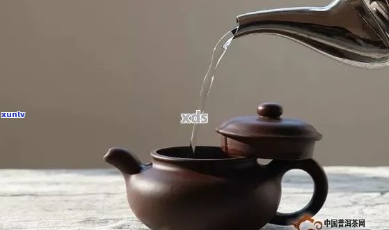 普洱茶冲泡用什么壶：什么壶最适合普洱茶冲泡？