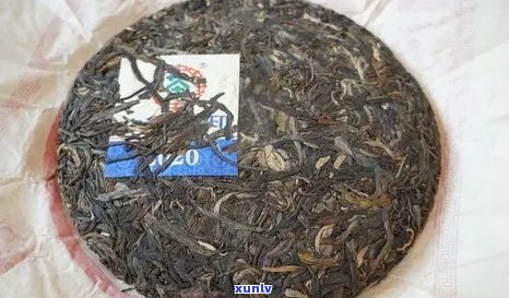 97年普洱茶水印：一款珍贵的普洱茶，品鉴与购买指南