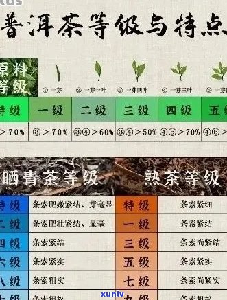 普洱茶价格区间及品质参考：如何正确选择与判断普洱茶的价格？