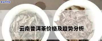 云南普洱茶市场行情分析：一斤普洱茶的价格是多少？