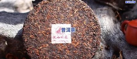 正宗普洱茶多钱一斤