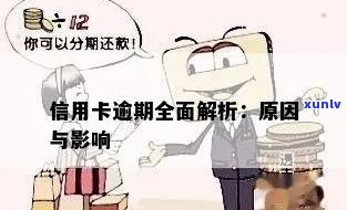 普洱茶： *** 的弊端与实体店的优势，为何消费者更倾向于实体店购买？