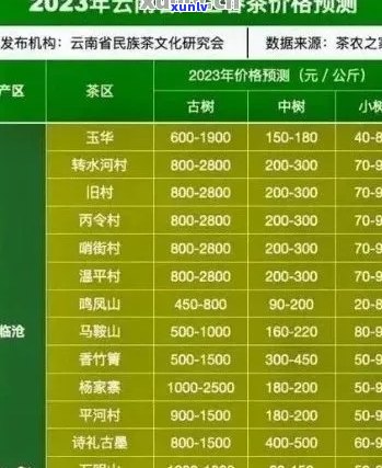 新普洱茶批发价格查询，优质包装供应商选择指南