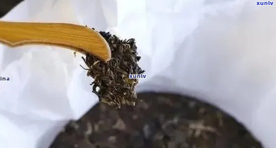 买的普普洱茶碎渣多