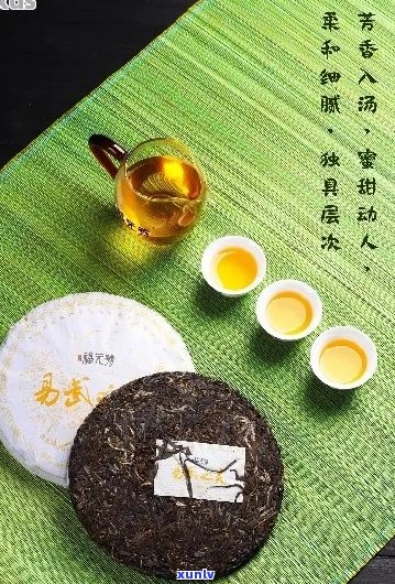 福元普洱茶专营：源自云南古树，传承百年工艺的纯正茶香