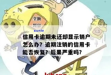 逾期信用卡显示已注销