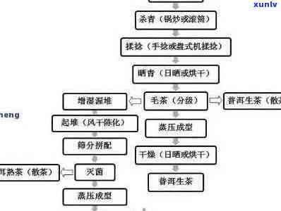 新 '探究普洱熟茶发酵过程中的关键微生物及其作用'