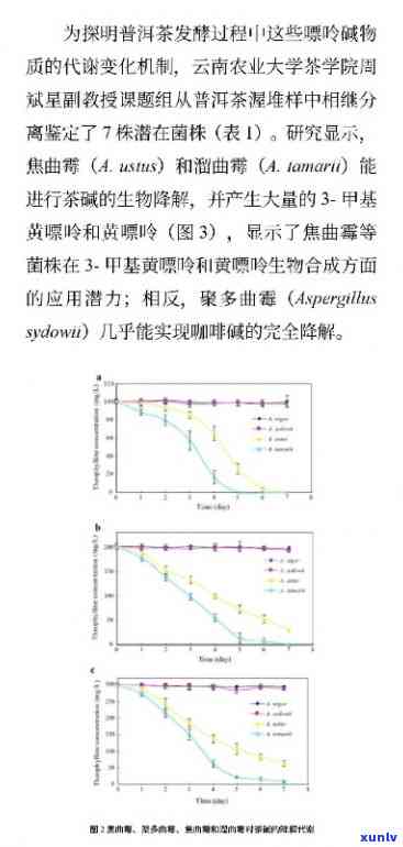 新 '探究普洱熟茶发酵过程中的关键微生物及其作用'