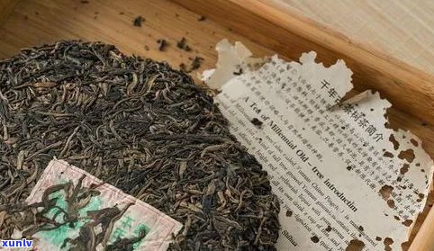 普洱茶之一人何世华：探索普洱茶的魅力、历与 *** 工艺