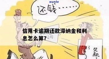 信用卡还款滞纳金：多久不还款会产生影响？