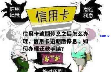 信用卡逾期后如何实现停息还款？这里有一份详细指南！