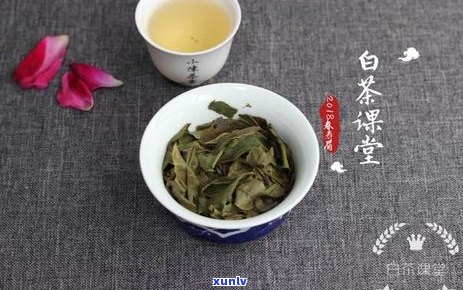 普洱茶泡过后第二天还能喝吗？如何正确保存普洱茶以长泡饮时间？