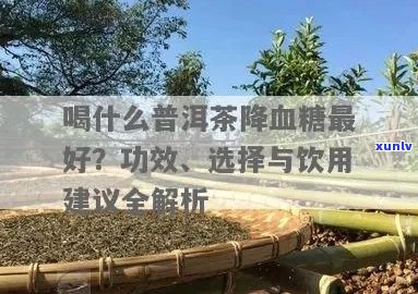 新普洱茶对高血压、高血脂和高血糖人群的健效益及适用注意事项