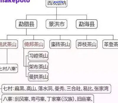 探究普洱茶六大名山：历、地理与口感的完美融合