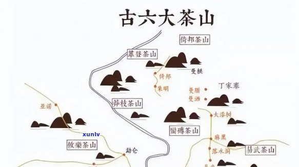 探究普洱茶六大名山：历、地理与口感的完美融合