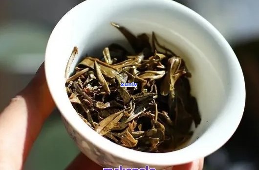 普洱茶的浓淡口感分析：原因、影响及如何选择适合自己口味的普洱茶