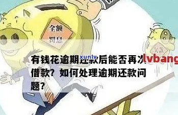 逾期资金如何处理？是否存在机会？